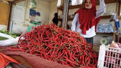 Harga Cabai di Siak Naik, Pemprov Riau Datangkan 2 Ton Cabai dari Pulau Jawa