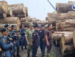 Tim Gabungan Kementerian Amankan Ribuan Tual Kayu Asal Sumbar di Pelabuhan Gresik