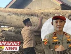 Kapolda Lampung Temukan Gelondongan Kayu Memiliki Barcode Terdampar Bertuliskan Kementerian Kehutanan