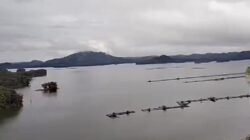 Debit Air Waduk PLTA Koto Panjang Menurun, Pengelola Pastikan Operasional Tetap Aman