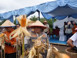 Bersama Kapolda Riau, Kabag Ops Brimob Ikut Panen Raya Jagung di Kampar