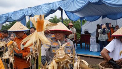 0ab49242 6177 492c b4b7 f741daa7b381