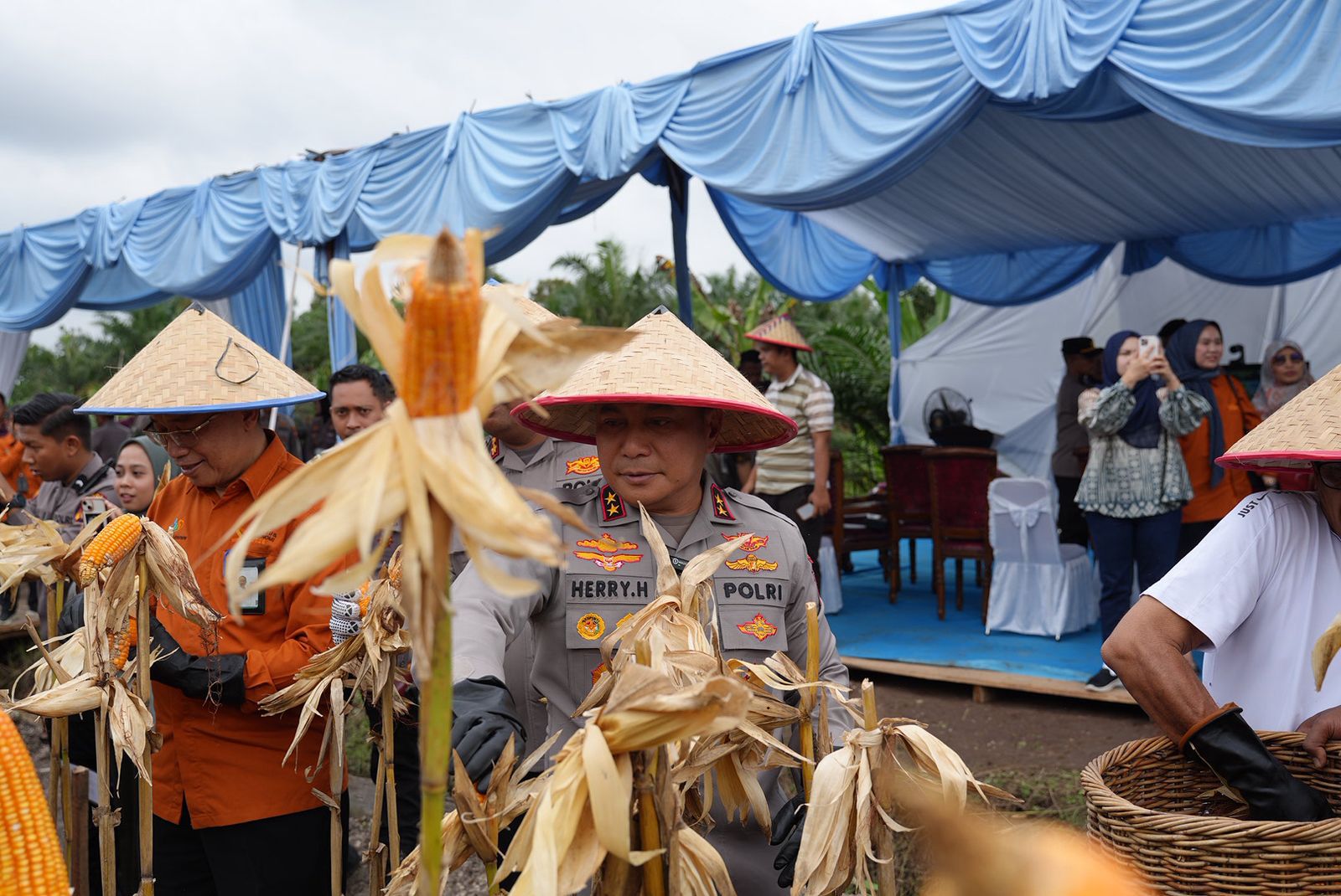 0ab49242 6177 492c b4b7 f741daa7b381