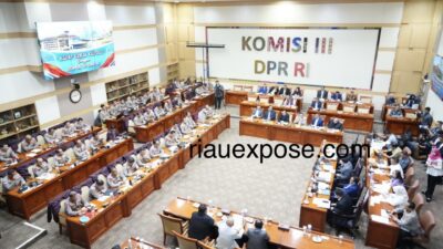 50168f58 b551 4d17 86fd fb0340d8e2ca