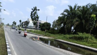 6e46fa1f 9632 4899 b215 fadff4ebf516