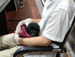 7ada099a 39ff 4fb9 9d26 77fc6726e48a