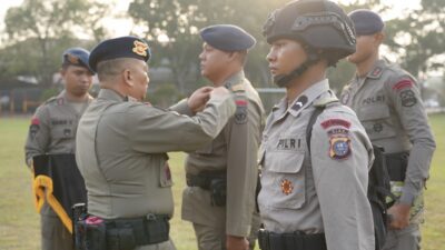 99ed4ac1 f61b 44a4 81c1 202fa18b90c3