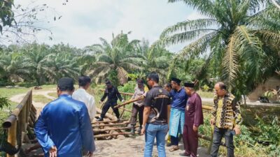 b358b4d7 b1b0 43d9 aa66 bd4432f8e9bc 1