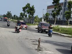 Jalan Sudirman Ujung–Sembilang Rusak Parah, Pengendara Diimbau Waspada
