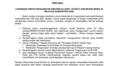 Tak Ada Lagi Hiburan DJ dan Musik Remix di Siak, Bupati Afni Keluarkan Surat Edaran 2 604dfdde c3cb 49d9 b0f0 de1146a628b5