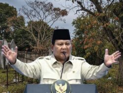 Negara Bisa Ambil Alih Tanah Terlantar, Prabowo Tetapkan PP 48/2025