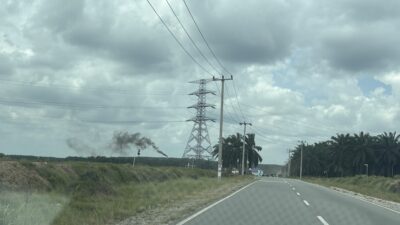 IMG 9994