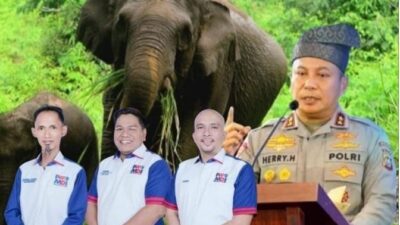 4e91287d 151f 495f b947 3fa5c56e309d