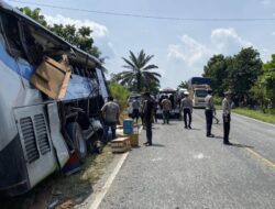 Bus PMH Tabrak Colt Diesel di Lintas Timur Pelalawan: 4 Tewas, Sopir Kabur