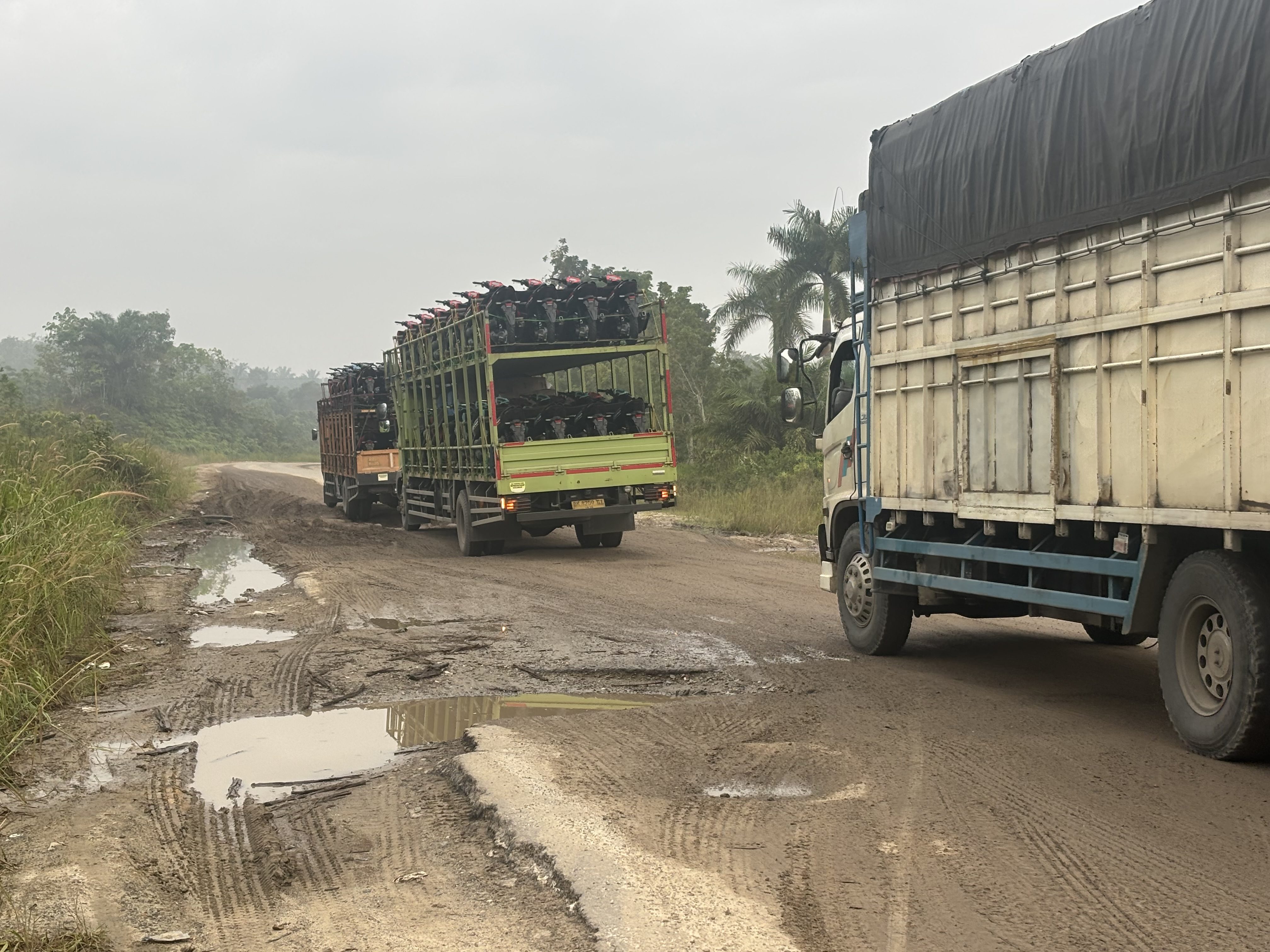 Jalan Provinsi di Perawang Rusak Parah, Warga Tualang-Siak Desak Pemprov Riau Segera Perbaiki