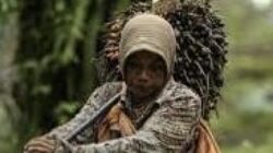 Petani sawit indonesia