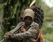 Petani sawit indonesia