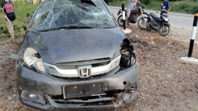 Honda Mobilio pemudik asal Bandung dengan nomor polisi D 1536 MI, terjun ke jurang di lokasi kejadian.