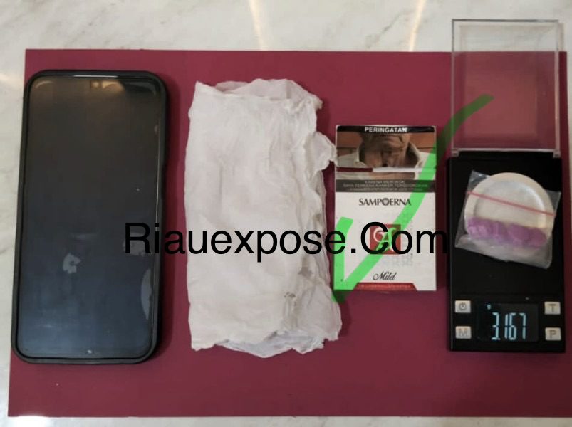 Polsek Tambusai Utara Gerebek Karaoke, Seorang Wanita Diamankan Bersama 6 Butir Ekstasi