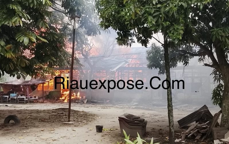 Sebanyak delapan unit rumah kontrakan berbahan papan hangus terbakar