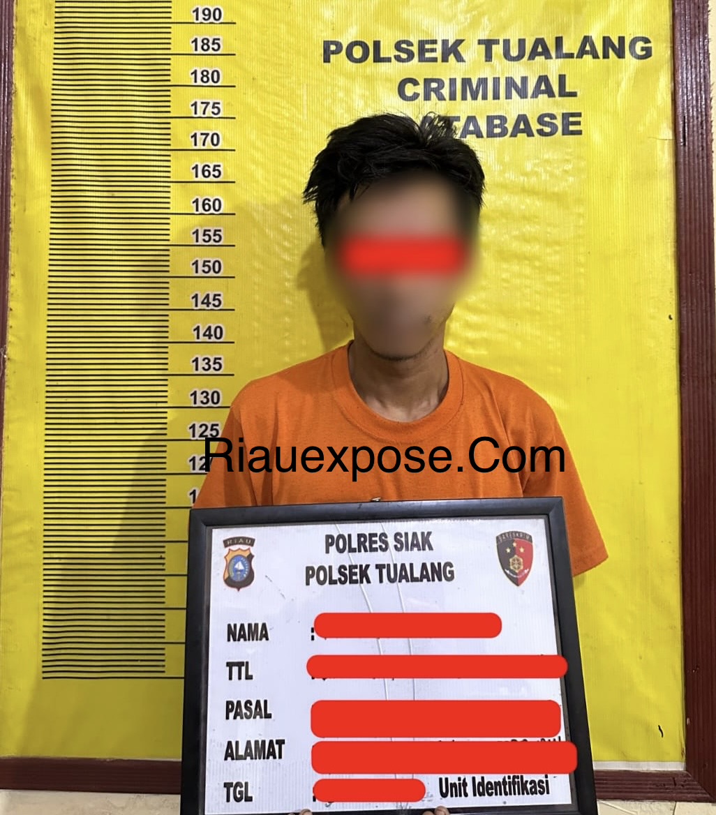 Polsek Tualang Ungkap Pencurian Dinamo Yanmar, Satu Pelaku Ditangkap, Satu DPO