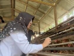 Bupati Afni Dorong Bumkam Jadi Motor Ekonomi dan Penopang Program MBG
