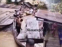 Banjir Bandang Terjang Kampar, 8 Desa Terdampak Akibat Luapan Sungai Subayang