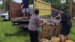 petugas menemukan 10 jerigen berisi biosolar di dalam mobil Mitsubishi L300 yang telah dimodifikasi.