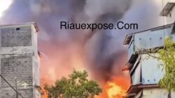 Kebakaran di Pulau Kijang, Reteh, Indragiri Hilir, Riau, hanguskan puluhan rumah warga. Polisi masih selidiki penyebab kebakaran, tidak ada korban jiwa.
