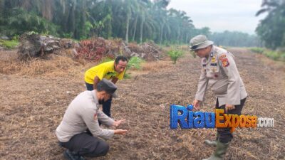 Polsek Bungaraya Dukung Asta Cita, Bhabinkamtibmas dan Kelompok Tani Bajak Lahan Jagung Pipil 1,5 Hektare