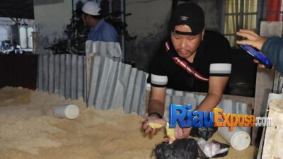 Operasi Antik 2026 Sat Narkoba Polresta Pekanbaru