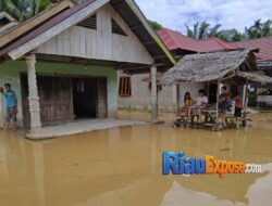 Luapan Sungai Kuantan Rendam 526 Rumah di Empat Kecamatan Kuansing