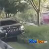 Pajero Hantam Pohon di Sudirman Pekanbaru, Sopir Positif Narkoba Sempat Kabur usai Kecelakaan