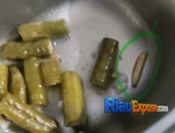 Santri Ponpes Nurul Ilmi Tualang-Siak Keluhkan Ulat Hidup hingga Rambut di Nasi Menu MBG