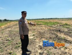 Menyemai Harapan di Lahan PT SIR, Polsek Tualang Kawal 2 Hektare Jagung untuk Ketahanan Pangan