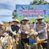 Dukung Asta Cita Presiden, Kapolres Siak Hadiri Panen Jagung di Tualang