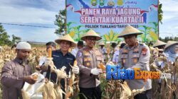 Dukung Asta Cita Presiden, Kapolres Siak Hadiri Panen Jagung di Tualang 4 Kapolres Siak Panen Jagung bersama Petani di Tualang
