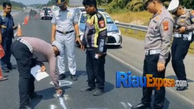 5 Tewas, 5 Luka di Tol Pekanbaru-Dumai, Hiace Hantam Dump Truk Gegara Sopir Ngantuk