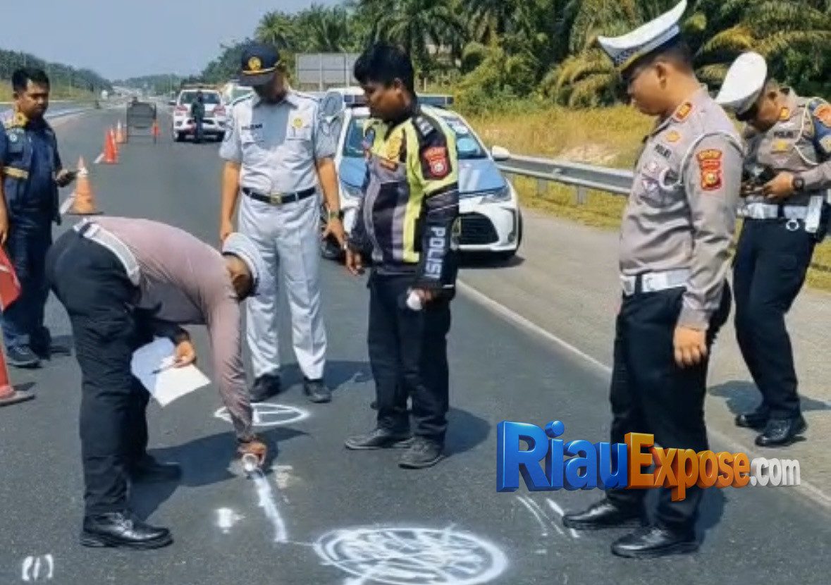 5 Tewas, 5 Luka di Tol Pekanbaru-Dumai, Hiace Hantam Dump Truk Gegara Sopir Ngantuk 1 Toyota Hiace yang membawa rombongan penumpang menghantam bagian belakang dump truk Hino di KM 46+200 Jalur A, Tol Pekanbaru-Dumai