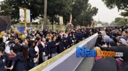 Pecahkan Rekor Dunia! Talam Durian Sepanjang 1,1 Kilometer di Pekanbaru Resmi Masuk MURI 8 Vestifal talam durian sempena hut Pekanbaru