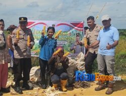 Setelah 120 Hari Masa Tanam, Polsek Tualang dan PT SIR Sei Lukut Panen Jagung Dukung Ketahanan Pangan Nasional