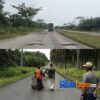 Pemkab Siak Klaim Tangani 152,3 Km Jalan Rusak, Warga Dayun Keluhkan Jalan Pemda Siak Bertabur Lubang