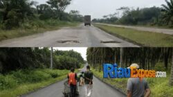 Kondisi Jalan Pemda Dayun–Siak yang dipenuhi lubang meski Pemkab Siak mengklaim telah menangani 152,3 kilometer jalan rusak melalui APBD dan program CSR perusahaan.
