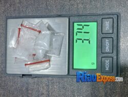 Dua Pengedar Narkoba Diciduk di Tambusai Utara, Polisi Sita 3,74 Gram Sabu