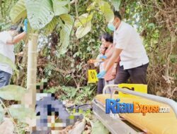 Terungkap Berkat CCTV, Sekuriti dan Sopir Ambulans Temukan Jasad Dokter RSUD Siak di Semak Belukar
