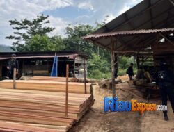 Polda Riau Bongkar Sawmill Ilegal di Kampar, Mandor Ditahan, Pemilik Diburu, 780 Batang Kayu Disita