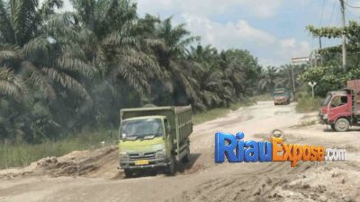 Lintas Maredan–Simpang Beringin Kini Terlupakan, Warga Siak Cenderung Lewat PT SIR Menuju Pekanbaru