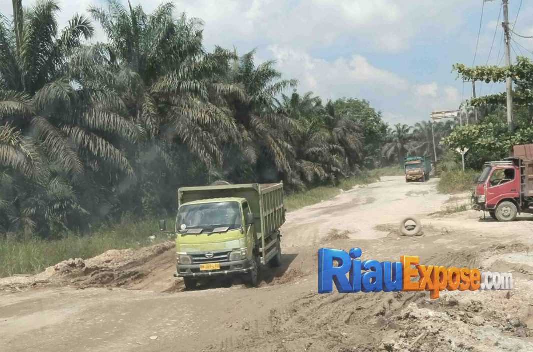 Kondisi Jalan Lintas Maredan–Simpang Beringin di Kabupaten Siak mengalami kerusakan parah sehingga banyak warga memilih melintas melalui Jalan PT SIR menuju Pekanbaru.