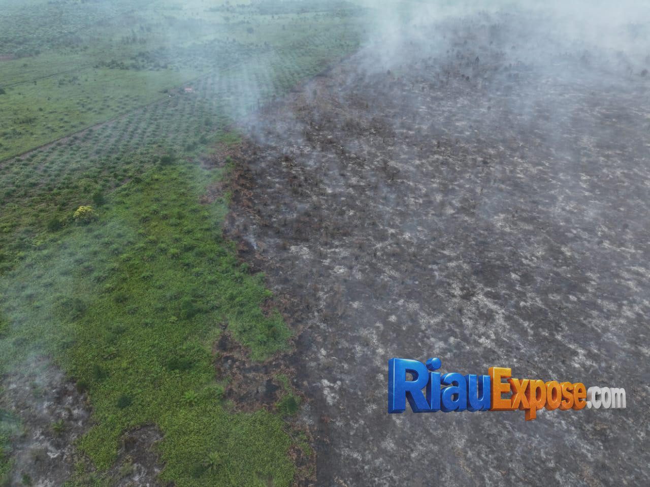 117 Personel Gabungan Berhasil Padamkan Karhutla 80 Hektare di Bengkalis 4 117 personel gabungan memadamkan kebakaran hutan dan lahan seluas 80 hektare di Jalan Tangkahan Tegar Ujung Canal Atiam, Kabupaten Bengkalis.