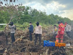 117 Personel Gabungan Berhasil Padamkan Karhutla 80 Hektare di Bengkalis